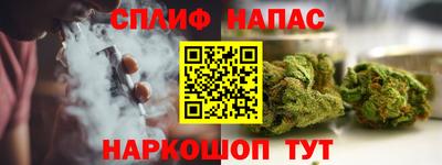 гидра Краснокаменск