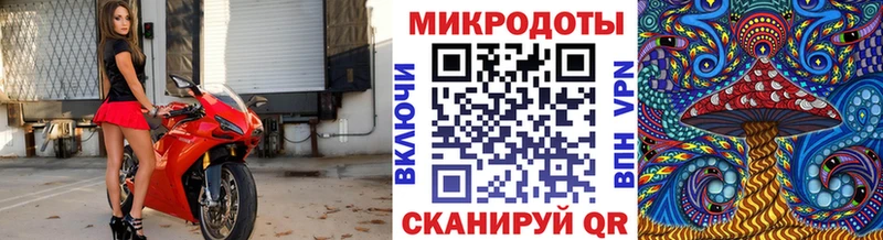Псилоцибиновые грибы Psilocybe  Киржач 