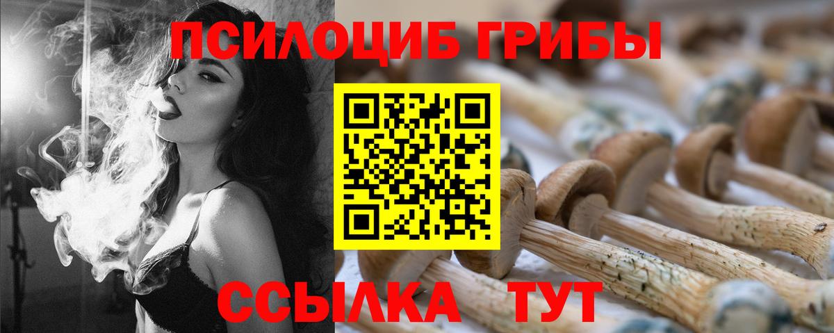 Галлюциногенные грибы Psilocybe  Вход с VPN  Киржач  цена   Псилоцибиновые грибы ЛСД 